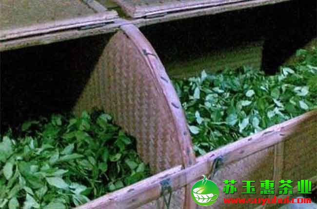 鐵觀音是怎么加工的呢？鐵觀音的搖青技術(shù)